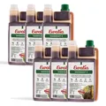 Produktbild: EWALIA Magensaft II für Pferde Sechserpack
