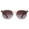 Produktbild: Ted Baker TB1655 Dock 901 Sonnenbrille mit grauem und havannabraunem Farbverlauf
