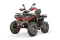 Produktbild: Smarty Elektro-Kinderquad 230cc maxi Quad Tricia CVT RS10 Platin inkl. Seilwinde