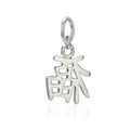 Produktbild: NKlaus Damen Kettenanhänger Chinesisches Zeichen 925 Silber 18x16mm Motiv Amulett 6801
