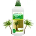Produktbild: Purgrün® Elefantenfuß-Dünger 1 Liter – Spurennährstoffe für gesundes Wachstum – Extra Kalium fördert die Widerstandskraft – Ergiebiges Konzentrat für 200 Liter Gießwasser – Premium-Flüssigdünger