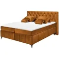 Produktbild: meinBett Boxspringbett  Pembroke ¦ orange ¦ Maße (cm): B: 200 H: 121