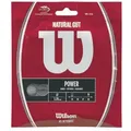 Produktbild: Tennissaite - Wilson - NATURAL GUT - 12,2 m