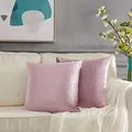 Produktbild: GIGIZAZA 2er Set Rosa Kissenbezug Samt Kissenbezüge Dekorative Kissenhülle Sofakissen Zierkissen deko Dekokissen für Wohnzimmer Schlafzimmer Sofa Auto 40cmx40cm