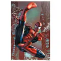 Produktbild: REINDERS Poster, Spider-Man - web sling, Kinderzimmer, Poster, Wanddeko, Room Decor, 150 gr. glänzend Bilderdruckpapier, Rot, 91,5x61cm