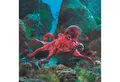 Produktbild: Folkmanis Handpuppen Handpuppe Folkmanis Roter Oktopus