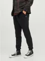 Produktbild: Jack & Jones Sweathose JPSTGORDON mit Kordelzug und Komfortbund unifarben, modisch, regular fit, Sweatware