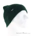 Produktbild: Patagonia Fishermans Rolled Beanie Mütze-Grün-One Size