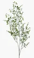 Produktbild: artplants.de Kunstzweig Buchsbaum Zweig Arica, 75cm - Plastik Buchs Zweig