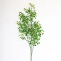 Produktbild: artplants Kunstzweig Buchsbaum Zweig Arica, 75cm