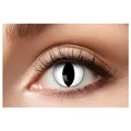Produktbild: Eyecatcher - Farbige 12 Monatslinsen, 1 Paar, Kontaktlinsen ohne Sehstärke, Halloween, Karneval, Fasching