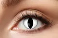 Produktbild: Party Factory Farblinsen Zoelibat Black Cat Kontaktlinsen – 12 Monatslinsen Cosplay & Karneval