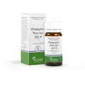 Produktbild: Pflügerplex Rhus Tox.353 H Tabletten 100 St
