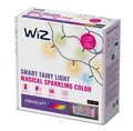 Produktbild: WIZ Fairy Light Color 20m Outdoor LED Lichterkette Kalt-Warmweiß-Farbe