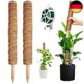 Produktbild: YAUNGEL Pflanzstab, 2 Stück 41CM Pflanzstäbe Kokos Moosstab für Monstera Pf
