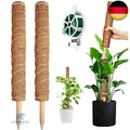 Produktbild: YAUNGEL Pflanzenstütze, 2 Stück 41CM Pflanzstab Rankhilfen für Kletterpflanzen N