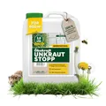 Produktbild: Scheidler Ökokraft Unkraut-Stopp Grundstoff Essig/Acetum 3 Liter – Natürlicher Unkrautvernichter für 500 m2 extra stark – Unkraut Entferner Wege/Pflaster/Terrassen – Langzeit Unkrautfrei