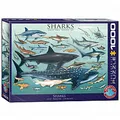 Produktbild: eurographics Puzzle - Haie - 1000 Teile 300701