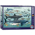 Produktbild: Puzzle - Haie - 1000 Teile