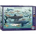 Produktbild: EuroGraphics Sharks Puzzle (1000 Pieces) (US IMPORT)