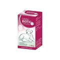 Produktbild: INSTITUT ALLERGOSAN Deutschland (privat) GmbH OMNI BiOTiC Cat & Dog Pulver 60 g 16034751