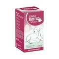Produktbild: OMNi BiOTiC CAT & Dog | Zur Stabilisierung Einer sensiblen tierischen Darmflora | Probiotisches Ergänzungsfuttermittel für Hunde und Katzen | Mit dem hochwertigen Ballaststoff MOS | 60 g Pulver