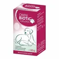 Produktbild: OMNi BiOtiC Cat & Dog Pulver · 60 g · PZN 16034751