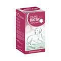Produktbild: OMNi BiOTiC CAT & DOG 60g Probiotikum Pulver für Hunde & Katzen Verdauung OVP