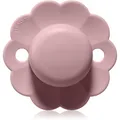 Produktbild: Suavinex Wonder SX Pro Physiological 6-18 m Schnuller Pale Mauve 1 St.