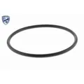 Produktbild: 1x ORIGINAL® Vemo Dichtung, AGR-Ventil für VW GOLF IV GOLF V POLO PASSAT B6