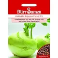 Produktbild: Dürr Samen Kohlrabi Express Forcer F1 Saatgut