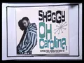 Produktbild: SHAGGY oh carolina VG/VG+ (MCD, Reggae, Virgin, 1993)