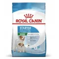 Produktbild: ROYAL CANIN SHN Mini Starter Mother & Babydog - Trockenfutter für Hunde - 4 kg