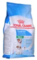 Produktbild: 3182550932707 ROYAL CANIN SHN Mini Starter Mother & Babydog - Trockenfutter