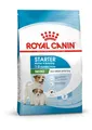 Produktbild: 4 kg ROYAL CANIN Mini Starter Mother& Babydog