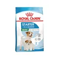 Produktbild: Royal Canin Mini Starter Mother & Babydog - Hondenvoer - 4 kg