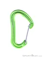 Produktbild: Edelrid Nineteen G Schnappkarabiner-Hell-Grün-One Size