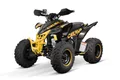 Produktbild: Smarty Elektro-Kinderquad 250cc maxi Quad Celavi RS10 4-Gang Manuell Platin