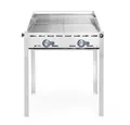 Produktbild: Grillsystem Green Fire 2 Brenner, HENDI, Profi Line, 2 Edelstahl Grillroste Gast
