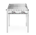 Produktbild: Hendi Gasgrill Grillsystem Green Fire mit 2 Brenner und Windschutz