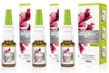 Produktbild: algovir Erkältungsspray 3x20 ml Spray Kinder enthält Carragelose aus der Rotalge
