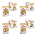 Produktbild: ROYAL CANIN French Bulldog Adult Loaf | 4er Pack | 4 x 12 x 85 g | Alleinfuttermittel für französische Bulldoggen ab 12 Monaten