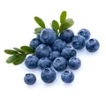Produktbild: Aroma Blaubeere / Heidelbeere 30+50+100 ml  - Made in Germany!