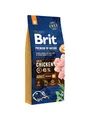 Produktbild: Brit Premium by Nature Adult Medium Breed 15kg 8595602526376
