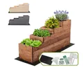 Produktbild: Modo24 Hochbeet ZP07 Kräuterbeet, Gartenbeet, Pflanzkasten, Blumenbeet, Gemüsegarten, für Garten und Terrasse, Kiefernholz Massivholz, Höhe 54 cm, 3 Farben