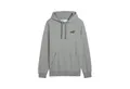 Produktbild: PUMA Hoodie Essentials Small No. 1 Logo Hoodie Herren