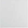 Produktbild: Berker Wippe 16298989 S.1 IP44 polarweiß glänzend 16298989