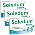 Produktbild: Soledum Kapseln forte | 3 x 20 Kapseln | Erkältungskapseln mit Cineol bei Entzündungen der Atemwege wie Bronchitis