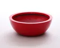 Produktbild: Elegant Einrichten Pflanzkübel Fiberglas Schale rund D55xH19cm hochglanz rot (1 St)