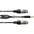 Produktbild: Cordial Audio Adapterkabel [1x Klinkenstecker 3.5 mm - 2x XLR-Buchse] 3.00 m